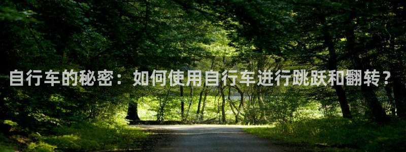 好博体育官网下载平台注册要钱吗是真的吗:自行车的秘密:如何使